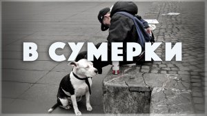 В сумерки