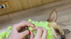 Подробный туториал (DIY) для новичков на жилетку для животных из Ализе Пуффи(Alize Puffy)