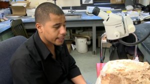 Preparing Dinosaur Fossils Inside AMNH