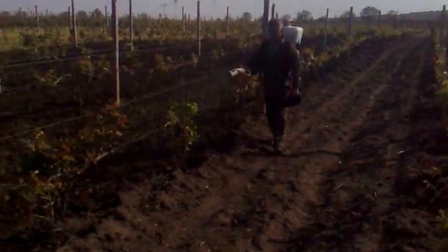 мотоопрыскиватель в действии смотреть онлайн