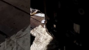 Двигатель 4DR5