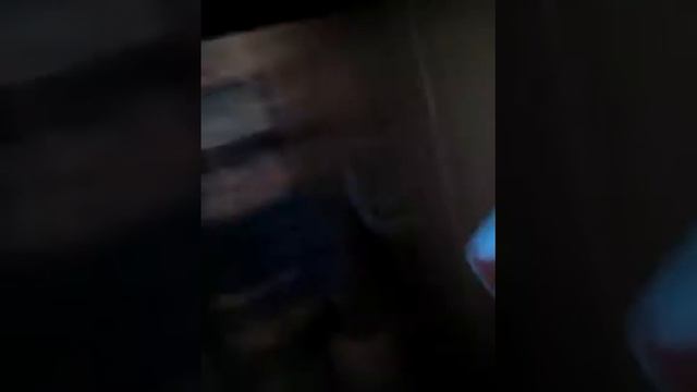 Моя собака смотреть онлайн