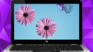 Спасибо за поздравления ◆ Благодарю