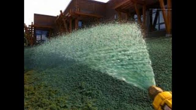 Жидкий газон aquagrazz наш реальный отзыв смотреть онлайн