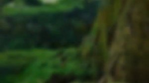 Господь Ты мой покров . Христианские песни