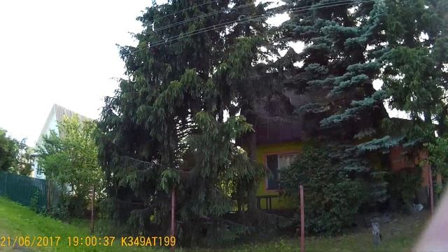 Высокорослые деревья над ЛЭП в СНТ Березки смотреть онлайн