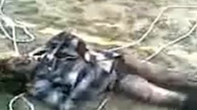 девушку выташили из ямы.3gp смотреть онлайн