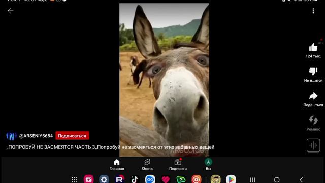 1000001571.mp4 смотреть онлайн