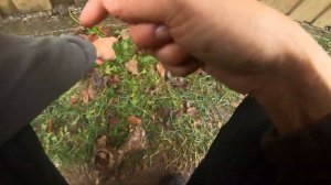 КОЩЕЙ 696.  ДАЛЬНОСТЬ ЗАБРОСА ПО НИЗАМ.