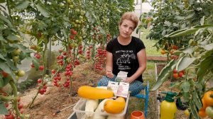 Волшебные таблетки для обильных урожаев томатов, огурцов и перцев