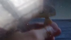 Здесь море и песок на на на