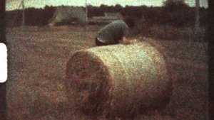 Кинопленка Свема «Свема ЦО-50Д» Super 8, проявить до 1991 г. Снято и проявлено в 2020 г