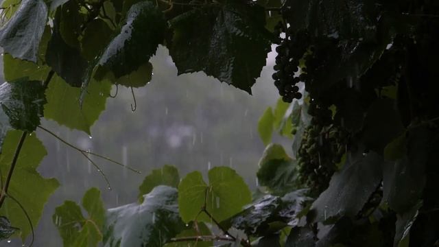 Медитация на самоисцеление и восстановление энергии