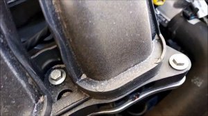 курица под капотом Дастера