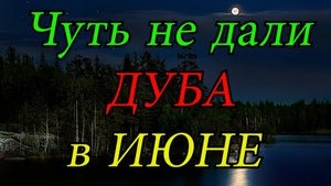 Рыбалка на Вышневолоцком Водохранилище. Чуть не дали дуба в Июне. Летний фидер.