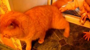 Ты и я одна компания!