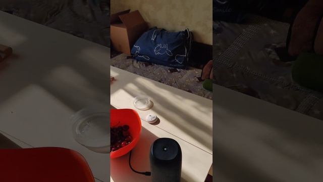 Мой безумный дом!