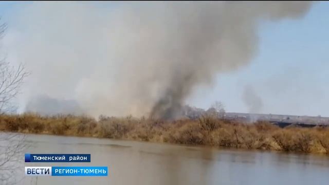 Под Кулаково горит 30 гектаров травы смотреть онлайн