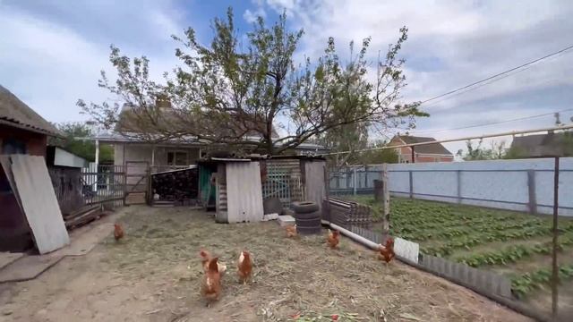 Дом на Юге с летней кухней/ Сад, участок 16 соток / ст. Казанская