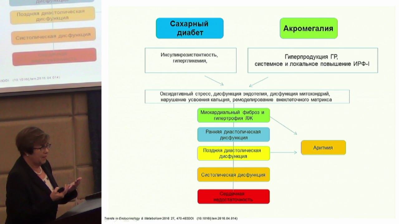 Конференция алгоритмы диагностики эндокринных заболеваний