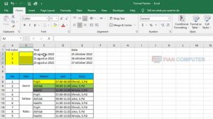 CARA MENERAPKAN FORMAT PAINTER DI EXCEL | FIAN COMPUTER