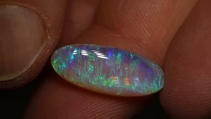 Opal Update | OUR BEST NEW OPALS!