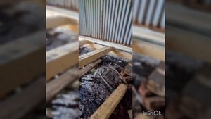 Как поднять северодвинский разборный гараж легко в одного.2023год.Замена полов.