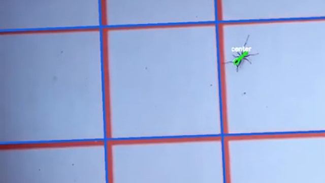 OpenCV object track and count crossings смотреть онлайн