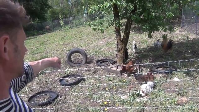 3 000 000 ЗА КУРЯТНИК??? .ДА НУ НАФИГ, ОН ЧТО ИЗ ЗОЛОТА ?? ПРИЕХАЛ НА ЛЕЧЕНИЕ смотреть онлайн