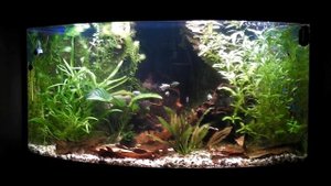 Светодиодная лампа для углового аквариума.