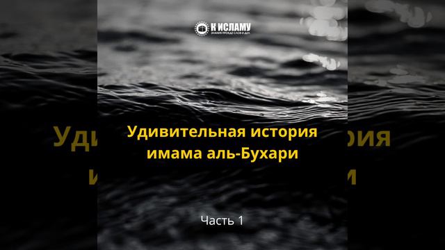 Выкинул 4кг золота в море?! Удивительная история имама аль-Бухари. Часть первая | Ринат Абу Мухамма
