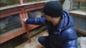 Тёплый Курятник в -40 Какие выявились недостатки? Warm chicken coop.
