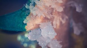 Как растут кристаллы, таймлапс 4K