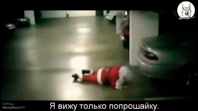 Паристый арёл