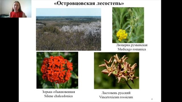 Флора и заповедные зоны Пензенской области смотреть онлайн