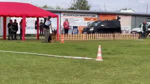 ПП 085 Frosten Rusland RIDIK / Моно немецких овчарок ПК БРОННИЦЫ 10.08.2024