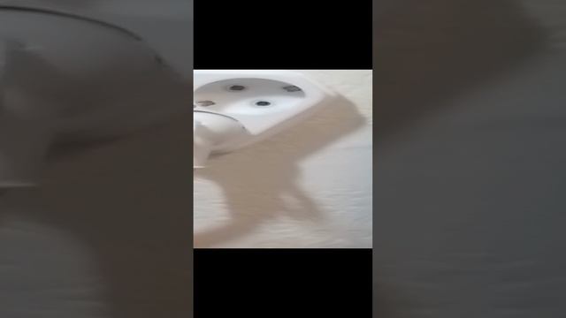 1000005915.mp4 смотреть онлайн