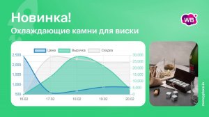 Продажи охлаждающих камней для виски на Wildberries. Аналитика маркептлейса