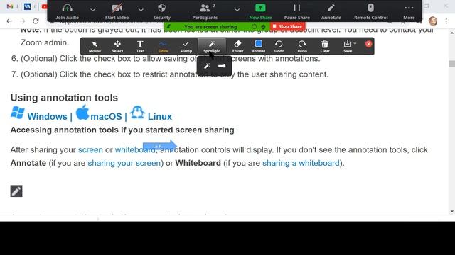 Zoom   cursor highlight