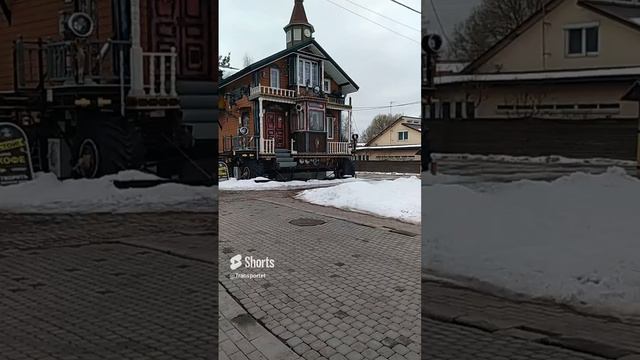 На колесах #shorts