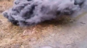 рдг 2 ч дымовая шашка