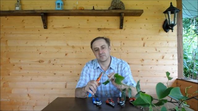 Обзор садовых секаторов DUE BUOI, Felco смотреть онлайн