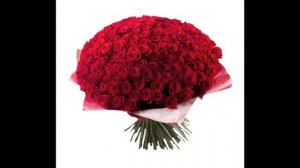 Я тебя люблю аня