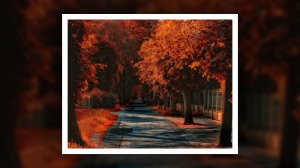 Золотая осень! Релаксация!