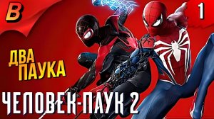 Новый Паучок Spider Man 2 Человек Паук 2 Прохождение 1