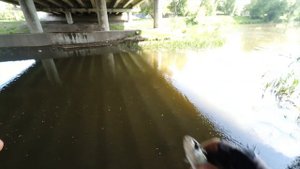 Streetfishing Белгород | Голавль на реке Везёлка | Весенняя прогулка по парку со спиннингом