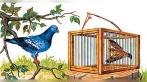 Чиж и Голубь. Мораль басни