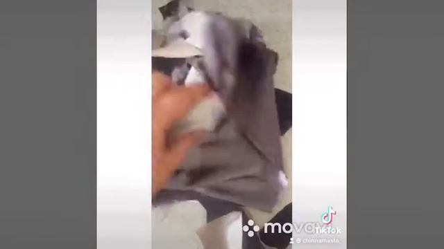 Крэзи пэчворк волнистый пэчворк