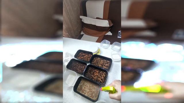 Микрозелень редис Санго, Зелёный редис, Редис Чайна Роуз. Какой субстрат лучше? От посадке до стола смотреть онлайн