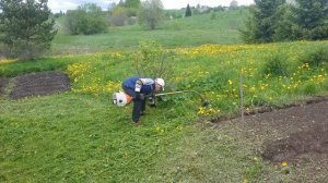 Штиль FS 36 обзор и тестирование .